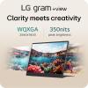 imageLG 16MR70ASDU1 16 Gram View IPS Protable Monitor SilverTitan Silver