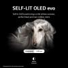imageLG 55Inch Class OLED evo Gallery Edition G2 Series Alexa Builtin 4K Smart TV 120Hz Refresh Rate AIPowered Dolby Vision IQ and Atmos WiSA Ready Cloud Gaming OLED55G2PUA 2022
